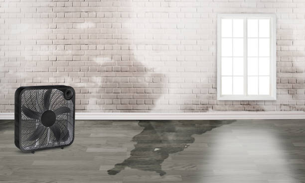 Best 24/7 water damage repair  in Costa Mesa, CA