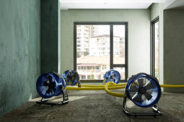 Best Water damage restoration near me  in Costa Mesa, CA